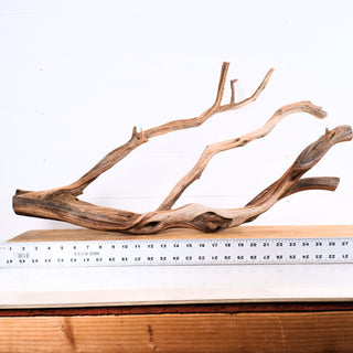 Manzanita Driftwood 29"