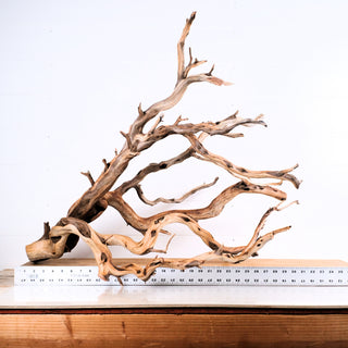Manzanita Driftwood 33"