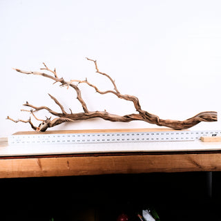 Manzanita Driftwood 43"