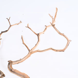 Manzanita Driftwood Set of 2 (26"-29") featuring two natural wood branches with unique shapes and smooth textures.
