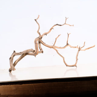 Manzanita Driftwood Set of 2 (26"-29") displayed on a plain surface with a white background