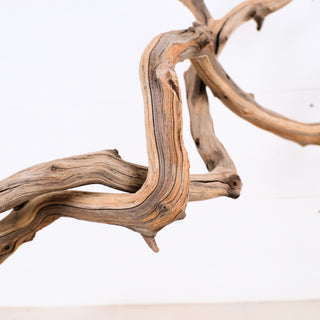 Manzanita Driftwood Set of 2 (26"-29") featuring natural twisted wood pieces with unique texture and organic shapes