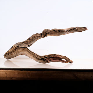 Manzanita Driftwood 35" piece with unique twisted natural wood texture and elegant rustic appearance on display surface