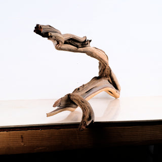 Manzanita Driftwood 35" with unique twisted shapes and natural texture displayed on a wooden surface against a white background