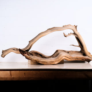 large aquarium driftwood