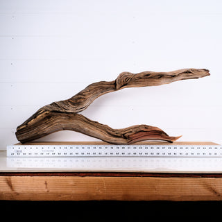Manzanita Driftwood 35" displayed on a ruler showing its 35-inch length and natural wood texture