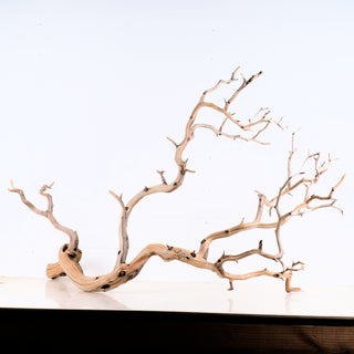 large driftwood decor