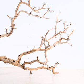 Manzanita Driftwood 38.5" with intricate natural branches displayed against a white background