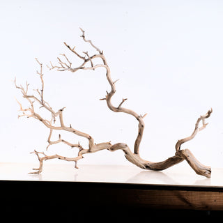 large aquarium driftwood