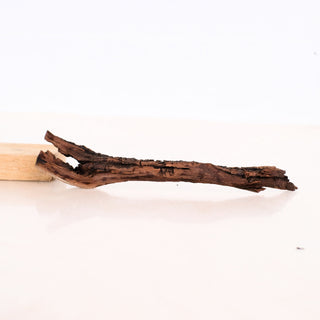 Micro Manzanita Driftwood 7" natural wood piece with unique texture and shape, measuring approximately 7.5 inches in length