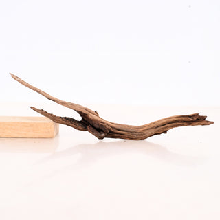 Micro Manzanita Driftwood piece with natural twisted shape and rich texture, measuring 11 inches in length.