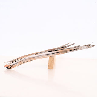 Micro Manzanita Driftwood 14" piece displayed on a white background showing natural texture and form.