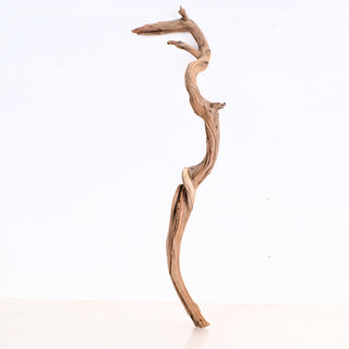 Manzanita Driftwood 22" piece with natural curves and texture, measuring 22.5" x 3.5" x 6" displayed on white background