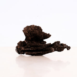 Manzanita Driftwood 10" piece with a rough, textured, natural dark brown surface shown on a white background