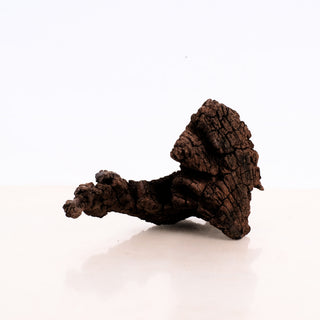Manzanita Driftwood 10" natural dark textured wood piece with unique twisted shape and rough surface details