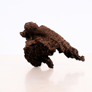 Manzanita Driftwood 10" piece with a rich textured surface and natural organic shape on a light background