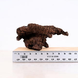 Manzanita Driftwood 10" displayed next to a measuring ruler showing its size and natural textured details