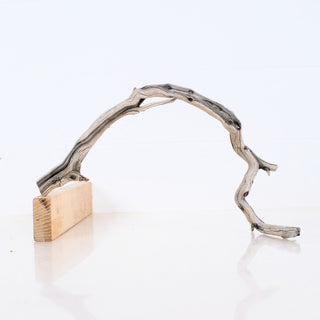 Micro Manzanita Driftwood 10.5 natural curved wood piece displayed on a wooden block against a white background