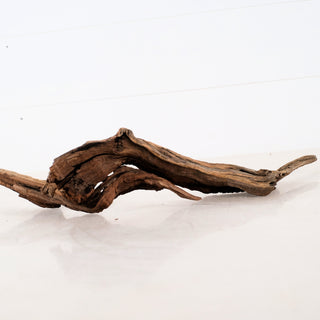 Natural curved piece of wood on white surface Micro Manzanita Driftwood 16 with detailed texture and length of 16 inches
