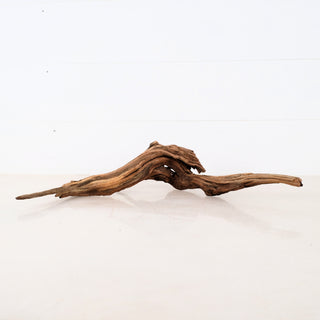 Micro Manzanita Driftwood 16 inch piece with natural curved shape and rich brown textured wood surface isolated on white background