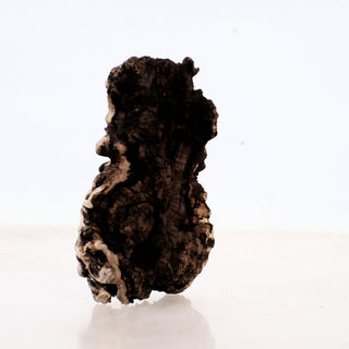 Micro Manzanita Driftwood 4.5" piece standing upright showing rich texture and natural shape on a white background