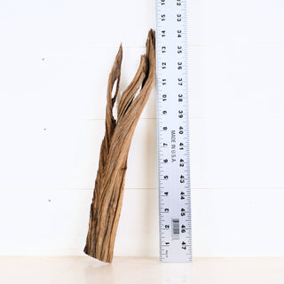 Micro Manzanita Driftwood 14.5"