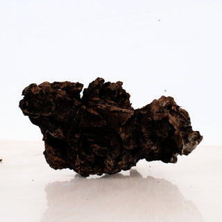 Micro Manzanita Driftwood 8"