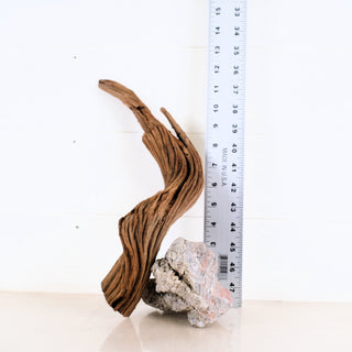 small aquarium driftwood