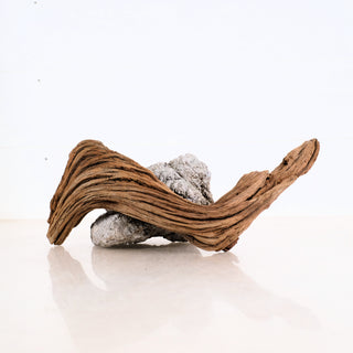 Micro Manzanita Driftwood 11.5"