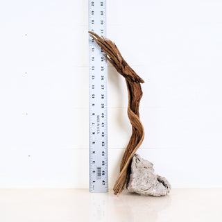 Micro Manzanita Driftwood 17"