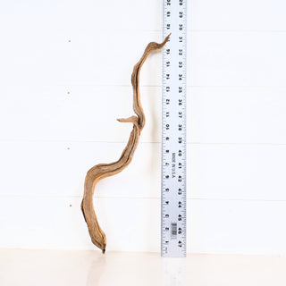 Micro Manzanita Driftwood 17.5"
