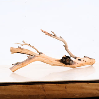 reptile climb wood