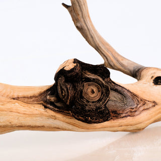 aquarium driftwood burl