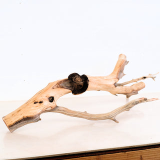Manzanita Driftwood 26.5"