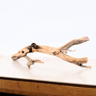 Manzanita Driftwood 26.5"
