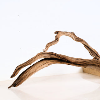 aquarium driftwood