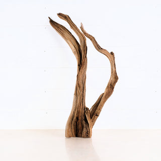 aquarium driftwood