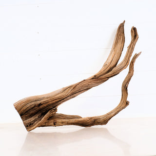 aquarium driftwood