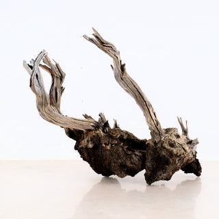 Manzanita Driftwood 19"