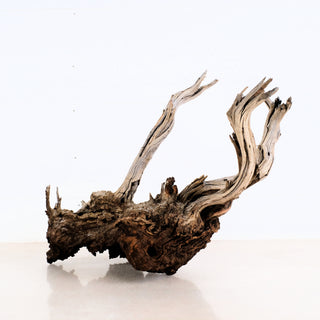 Manzanita Driftwood 19"