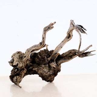 aquarium driftwood