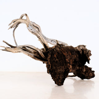 aquarium driftwood