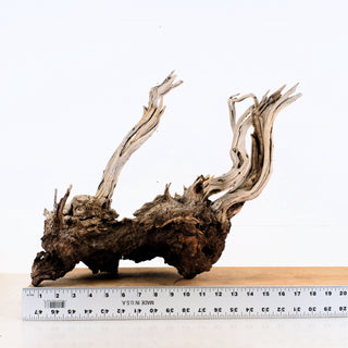 Manzanita Driftwood 19"
