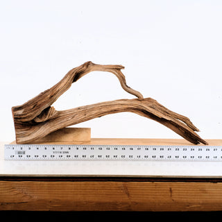 Manzanita Driftwood 26.75"