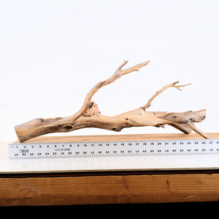 Manzanita Driftwood 26.5"