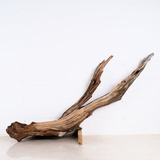 Manzanita Driftwood 29-38" (Set of 2)