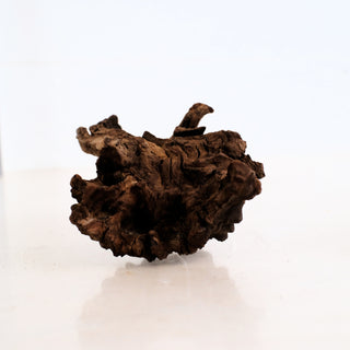 Micro Manzanita Driftwood 5.25" piece with natural dark texture and unique organic shape on white background