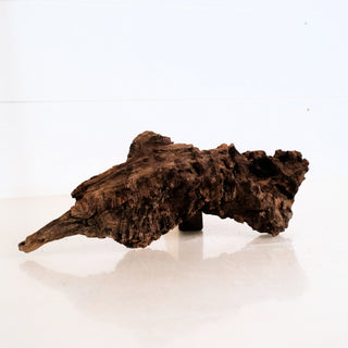 Micro Manzanita Driftwood 9.5" piece with rich texture and natural dark wood tones perfect for decor or aquariums