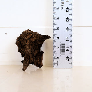 Micro Manzanita Driftwood 4" piece shown next to ruler for scale on a white background with textured surface.