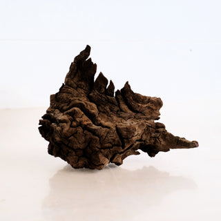 manzanita burl brown